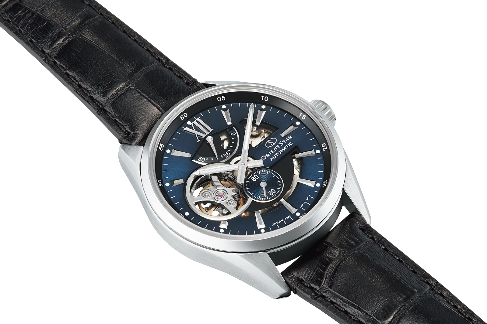 Modern Skeleton